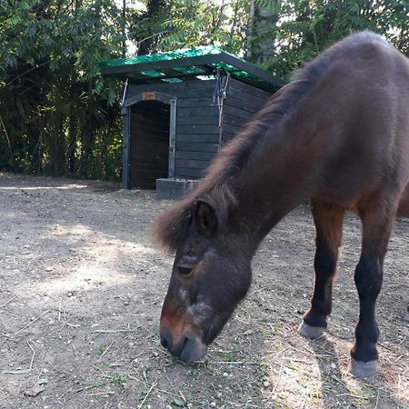 サロ Agriturismo La Scalaヴィラ エクステリア 写真